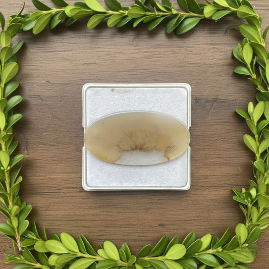 Scenic Agate Oval shape Cabochon Flat Back Gemstone 25X49 mm