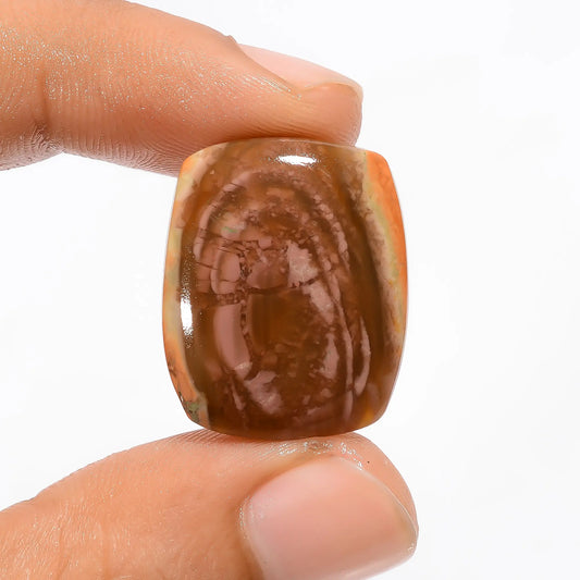 Polychrome Jasper Radiant Shape Cabochon Loose Gemstone Natural 19.5 Ct. 23X19X4 mm V-2952