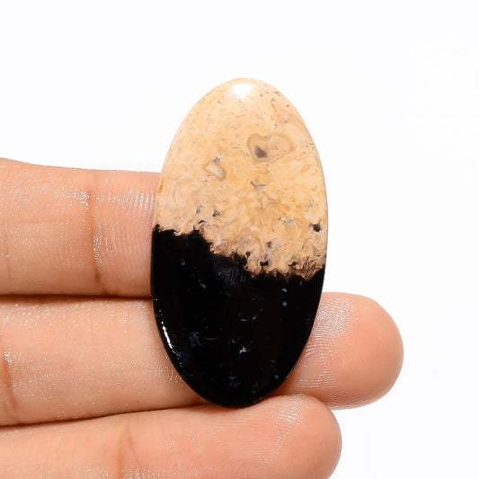 Palm Root Agate Oval Shape Cabochon Loose Gemstone Natural 19.5 Ct. 38X20X3 mm V-3186
