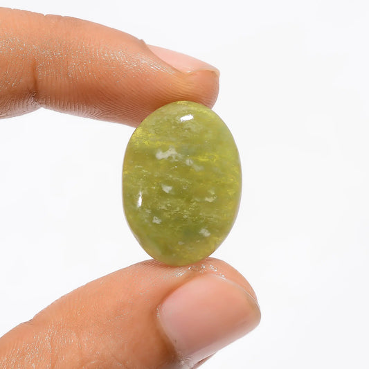 Serpentine Oval Shape Cabochon Loose Gemstone Natural 16.5 Ct. 21X15X4 mm V-3269