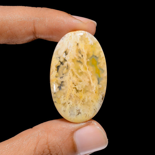 Graveyard Plume Agate Oval Shape Cabochon Loose Gemstone Natural 28 Ct. 36X22X4 mm V-3861
