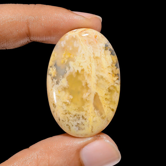 Graveyard Plume Agate Oval Shape Cabochon Loose Gemstone Natural 36 Ct. 36X24X5 mm V-3864