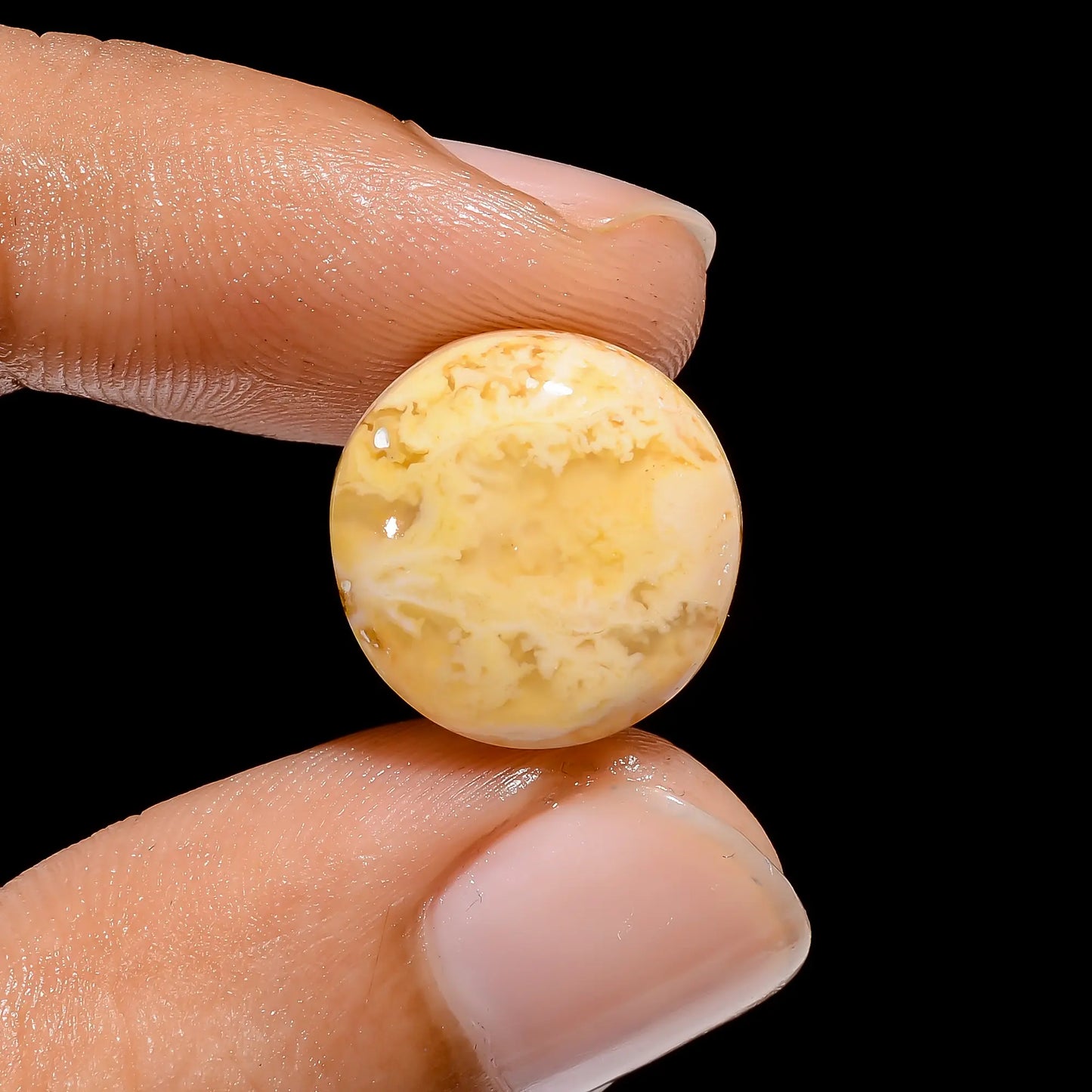 Graveyard Plume Agate Round Shape Cabochon Loose Gemstone Natural 8 Ct. 14X14X5 mm V-3870