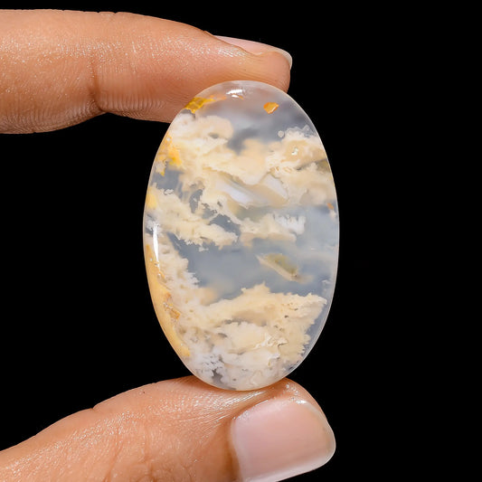 Graveyard Plume Agate Oval Shape Cabochon Loose Gemstone Natural 11 Ct. 23X13X5 mm V-3867