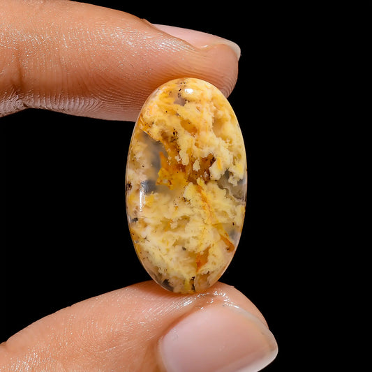 Graveyard Plume Agate Oval Shape Cabochon Loose Gemstone Natural 11.5 Ct. 24X13X4 mm V-3880