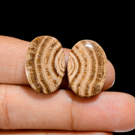 Amazing A One Quality 100% Natural Chocolate Calcite Aragonite Oval Shape Cabochon Gemstone Pair For Making Earrings 25 Ct 20X14X5 mm V-4448