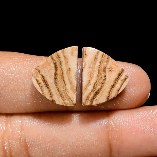 Chocolate Calcite Aragonite Fancy Shape Cabochon Loose Gemstone Pair Natural 14 Ct. 16X12X4 mm V-4454