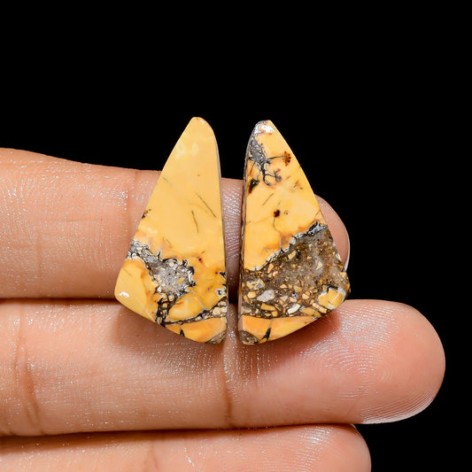 Maligano Jasper Fancy Shape Cabochon Loose Gemstone Pair Natural 23 Ct. 25X13X5 mm V-4463