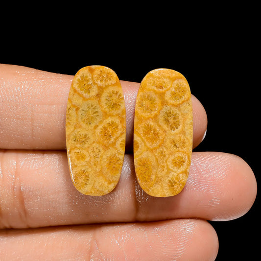 Fossil Coral Radiant Shape Cabochon Loose Gemstone Pair Natural 24 Ct. 25X11X4 mm V-4485