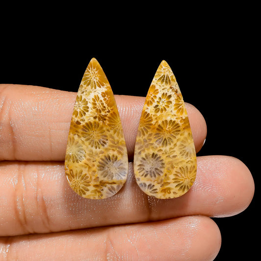 Fossil Coral Pear Shape Cabochon Loose Gemstone Pair Natural 33 Ct. 30X13X5 mm V-4486
