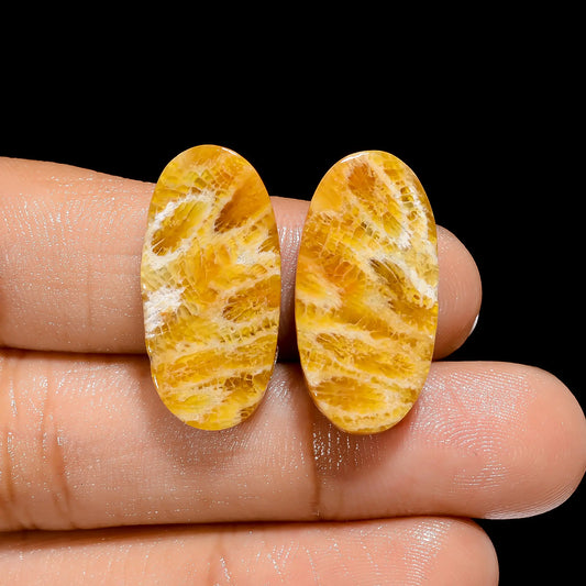 Fossil Coral Oval Shape Cabochon Loose Gemstone Pair Natural 24 Ct. 24X12X4 mm V-4487