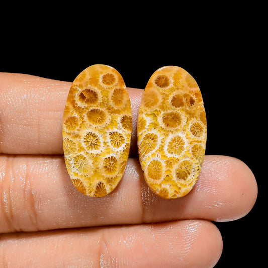 Fossil Coral Oval Shape Cabochon Loose Gemstone Pair Natural 30 Ct. 27X14X4 mm V-4488