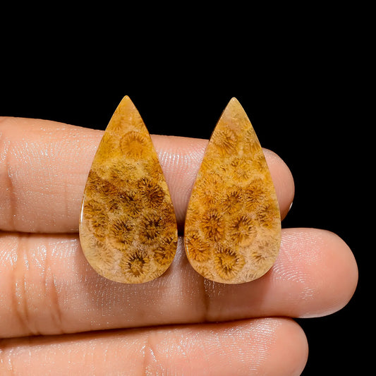 Fossil Coral Pear Shape Cabochon Loose Gemstone Pair Natural 30.5 Ct. 27X15X4 mm V-4490