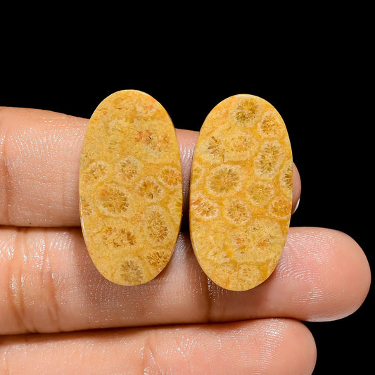 Fossil Coral Oval Shape Cabochon Loose Gemstone Pair Natural 38.5 Ct. 28X15X5 mm V-4491