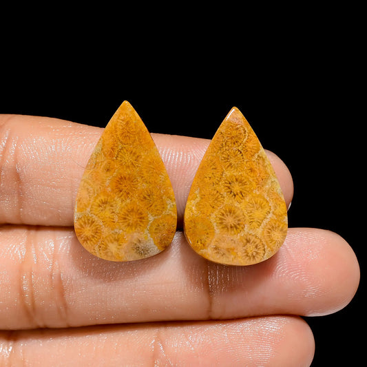 Fossil Coral Pear Shape Cabochon Loose Gemstone Pair Natural 28 Ct. 24X15X5 mm V-4492
