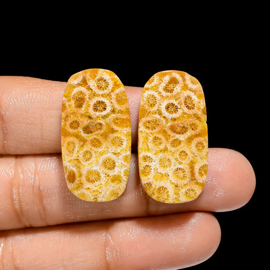 Fossil Coral Radiant Shape Cabochon Loose Gemstone Pair Natural 38 Ct. 28X15X5 mm V-4493