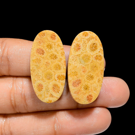 Fossil Coral Oval Shape Cabochon Loose Gemstone Pair Natural 50 Ct. 31X15X5 mm V-4494