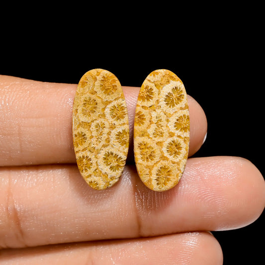 Fossil Coral Oval Shape Cabochon Loose Gemstone Pair Natural 17 Ct. 22X10X5 mm V-4495