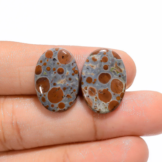 Asteroid Jasper Oval Shape Cabochon Loose Gemstone Pair Natural 13.5 Ct. 19X13X3 mm V-4560