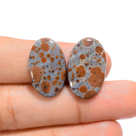 Asteroid Jasper Oval Shape Cabochon Loose Gemstone Pair Natural 13.5 Ct. 21X13X3 mm V-4561