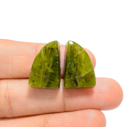 Serpentine Fancy Shape Cabochon Loose Gemstone Pair Natural 26 Ct. 19X13X6 mm V-4612