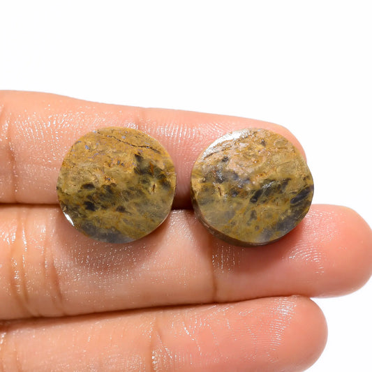 Tiger Skin Round Shape Cabochon Loose Gemstone Pair Natural 28 Ct. 16X16X5 mm V-4702