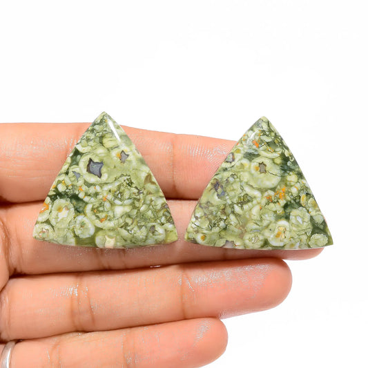 Rhyolite Trillion Shape Cabochon Loose Gemstone Pair Natural 56 Ct. 30X30X5 mm V-4737