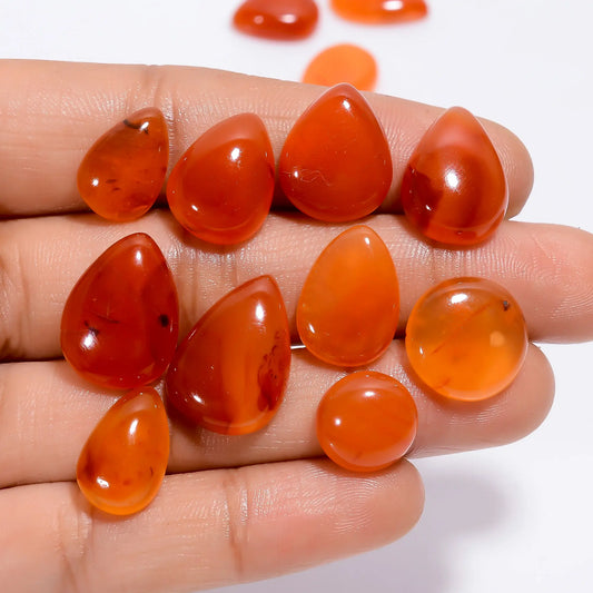 Carnelian Mix Shape Shape Cabochon Loose Gemstone 13 Pcs Lot 97 Ct. 10X10 18X13 mm V-4983