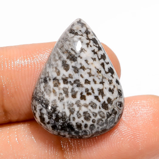 Snakeskin Pear Shape Cabochon Loose Gemstone Natural 17.5 Ct. 23X18X5 mm V-5447