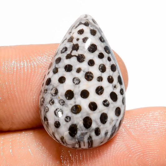 Snakeskin Pear Shape Cabochon Loose Gemstone Natural 17.5 Ct. 23X14X6 mm V-5452