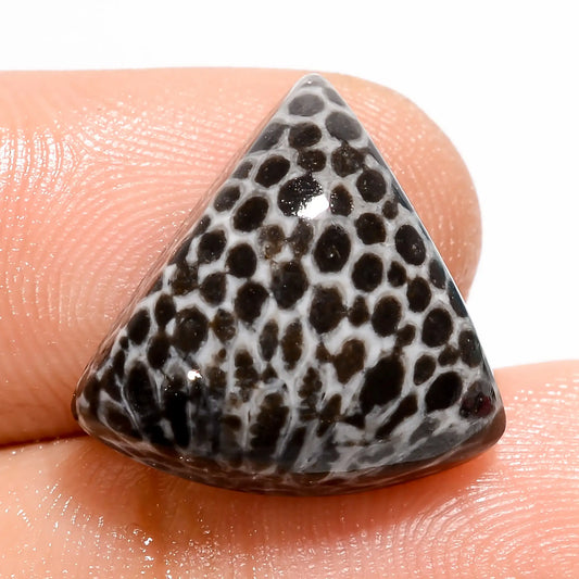 Snakeskin Triangle Shape Cabochon Loose Gemstone Natural 11 Ct. 16X16X6 mm V-5454