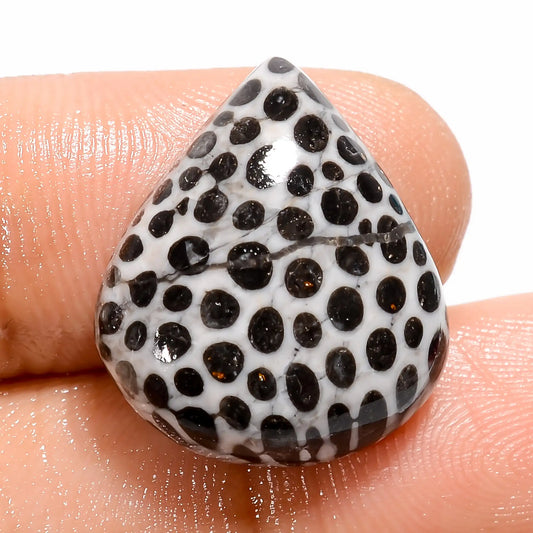 Snakeskin Pear Shape Cabochon Loose Gemstone Natural 14.5 Ct. 20X17X5 mm V-5455