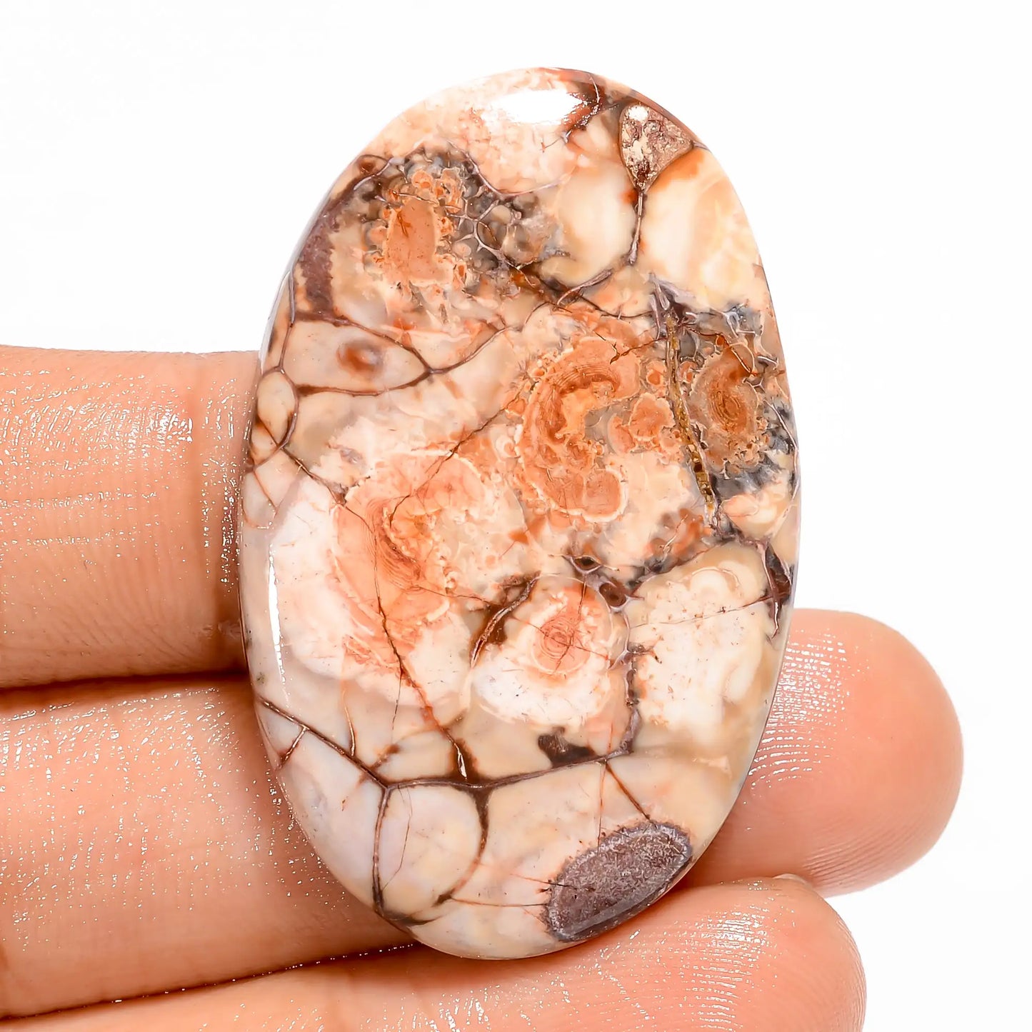 Bird Eye Jasper Oval Shape Cabochon Loose Gemstone Natural 40.5 Ct. 40X25X5 mm V-5488