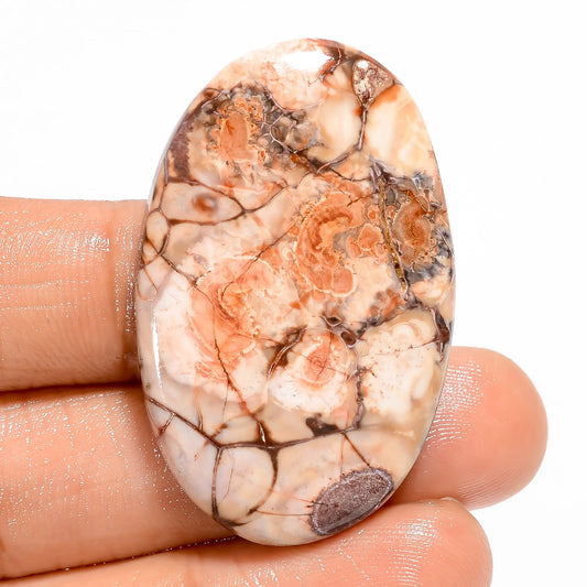 Bird Eye Jasper Oval Shape Cabochon Loose Gemstone Natural 40.5 Ct. 40X25X5 mm V-5488