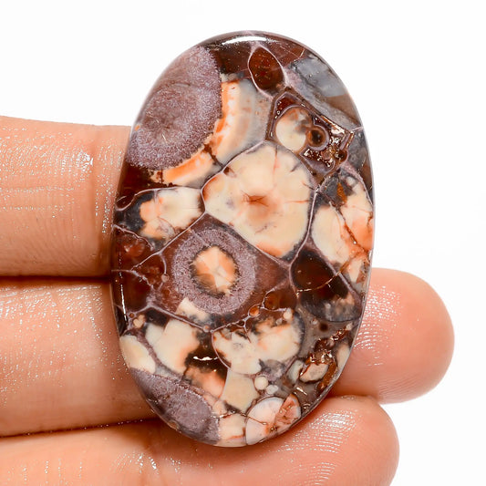 Bird Eye Jasper Oval Shape Cabochon Loose Gemstone Natural 43 Ct. 40X25X5 mm V-5489