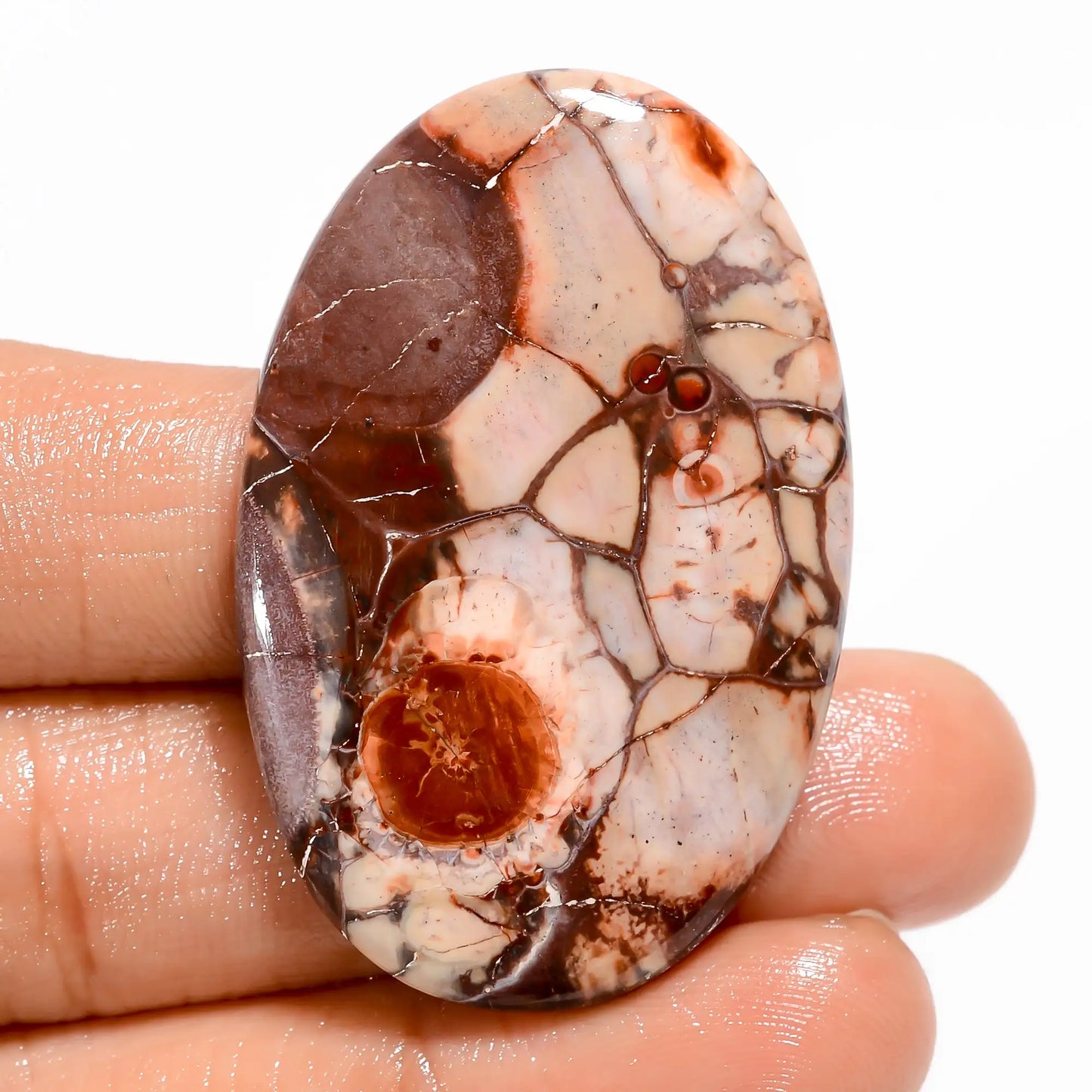 Bird Eye Jasper Oval Shape Cabochon Loose Gemstone Natural 56 Ct. 43X28X5 mm V-5490