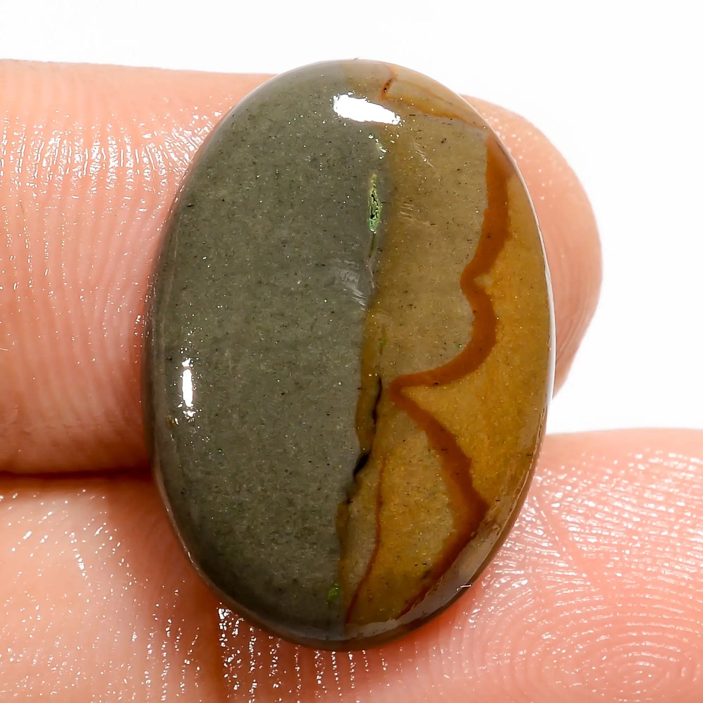 Polychrome Jasper Oval Shape Cabochon Loose Gemstone Natural 11 Ct. 21X14X4 mm V-5513
