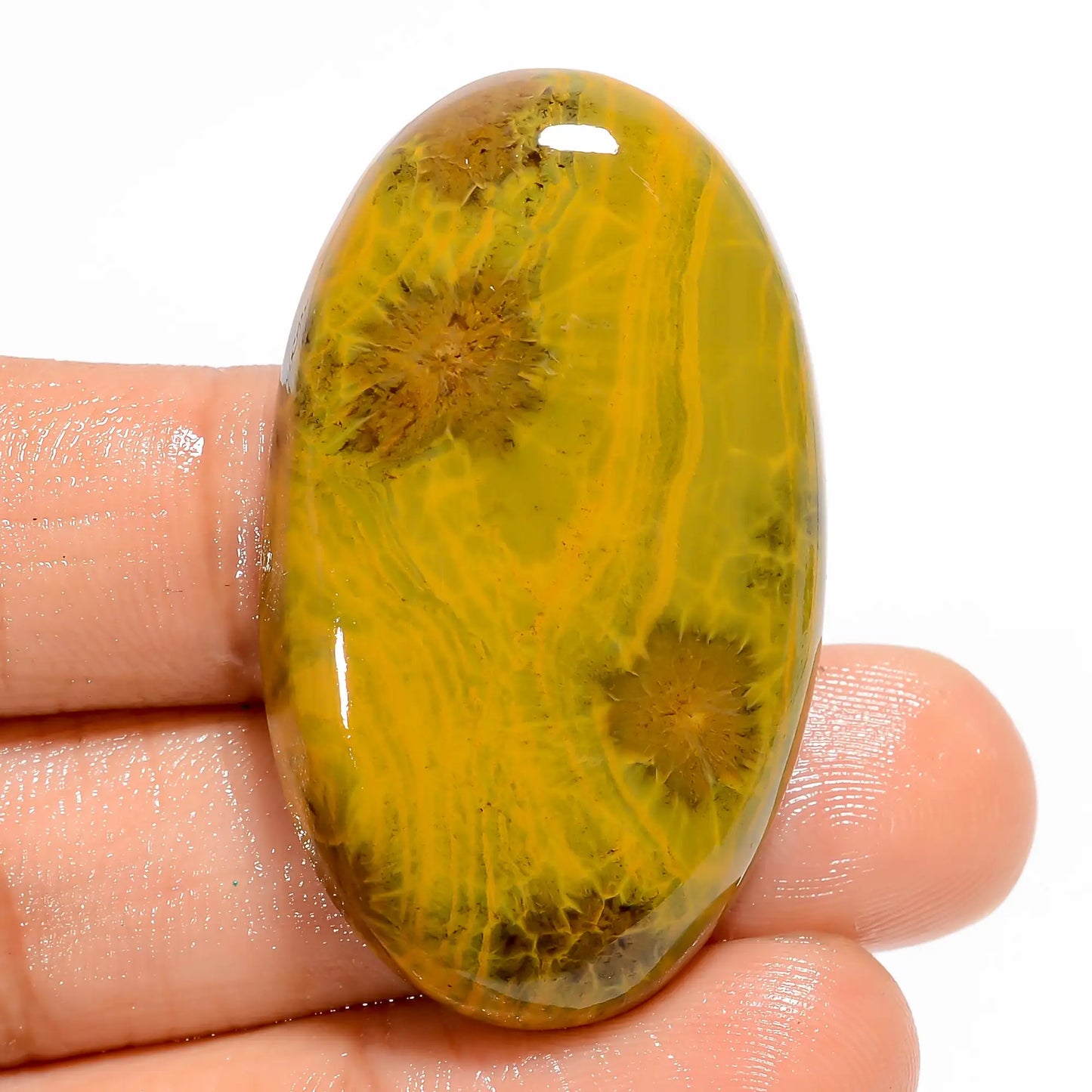 Ocean Jasper Oval Shape Cabochon Loose Gemstone Natural 68.5 Ct. 42X24X8 mm V-5935