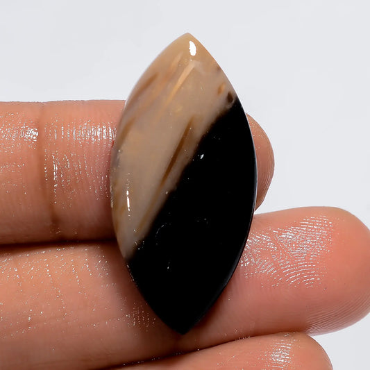 Palm Root Agate Marquise Shape Cabochon Loose Gemstone Natural 18.5 Ct. 31X15X5 mm V-6119