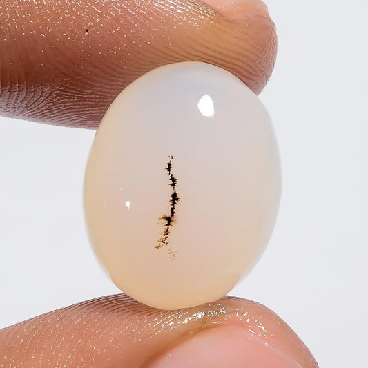 Dendrite Shajar Agate Oval Shape Cabochon Loose Gemstone Natural 12 Ct. 17X13X7 mm V-6379
