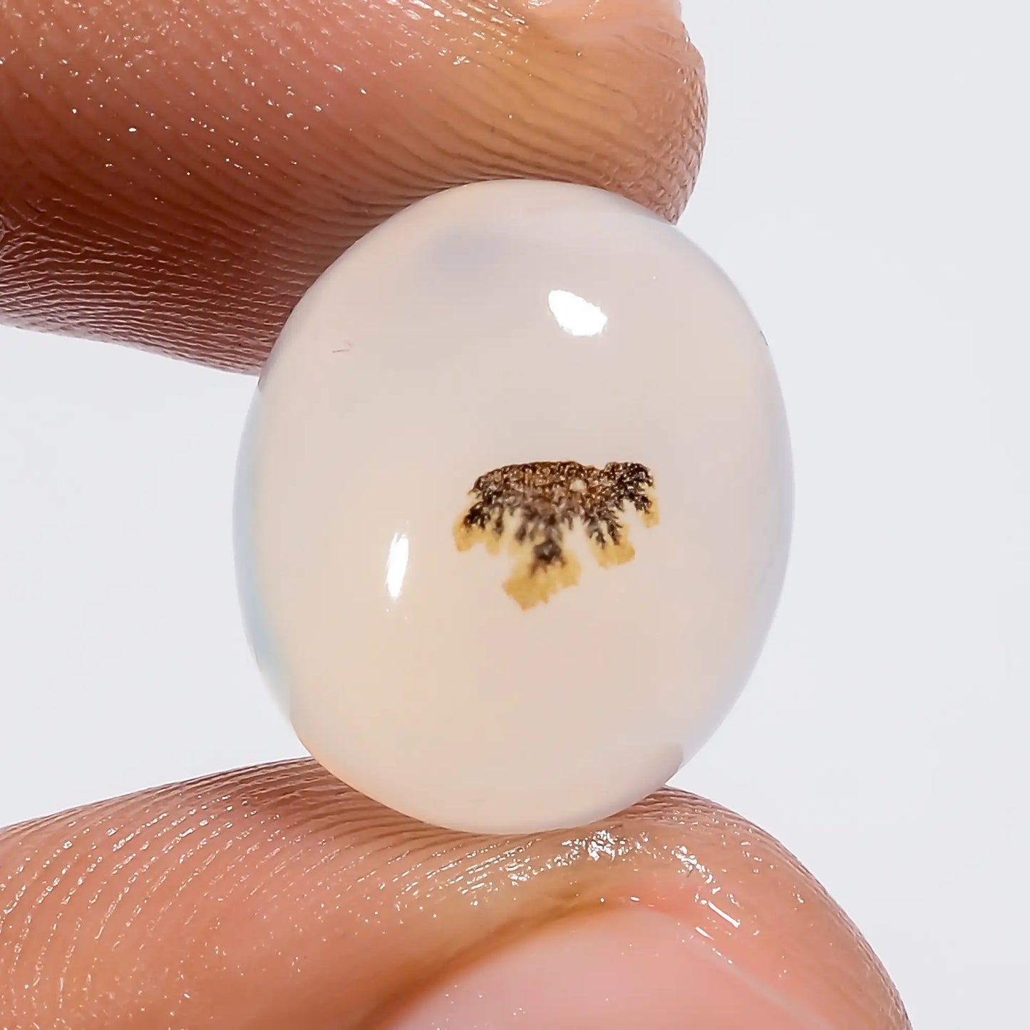 Dendrite Shajar Agate Oval Shape Cabochon Loose Gemstone Natural 9.5 Ct. 14X12X7 mm V-6387