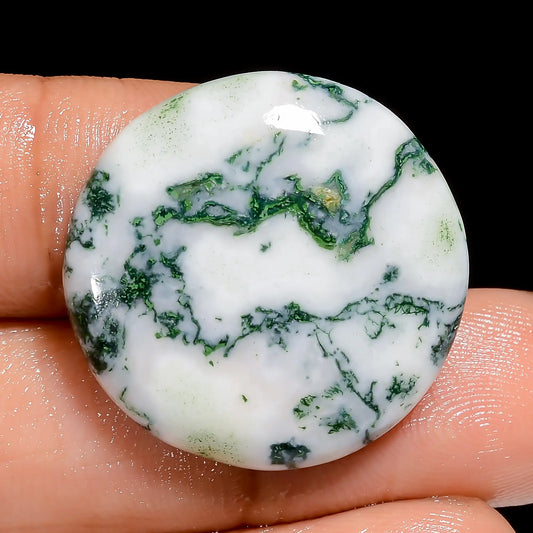 Tree Agate Round Shape Cabochon Loose Gemstone Natural 22.5 Ct. 23X23X4 mm V-6669
