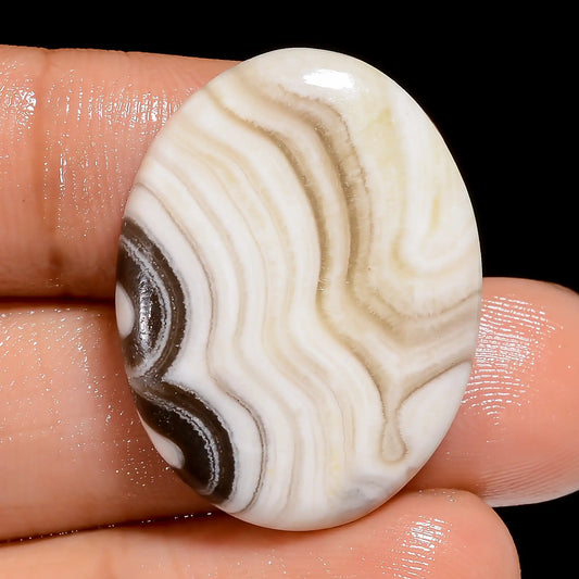 Zebra Jasper Oval Shape Cabochon Loose Gemstone Natural 27 Ct. 27X21X4 mm V-6671