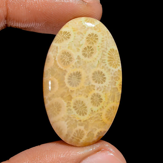 Fossil Coral Oval Shape Cabochon Loose Gemstone Natural 23 Ct. 32X20X5 mm V-6776