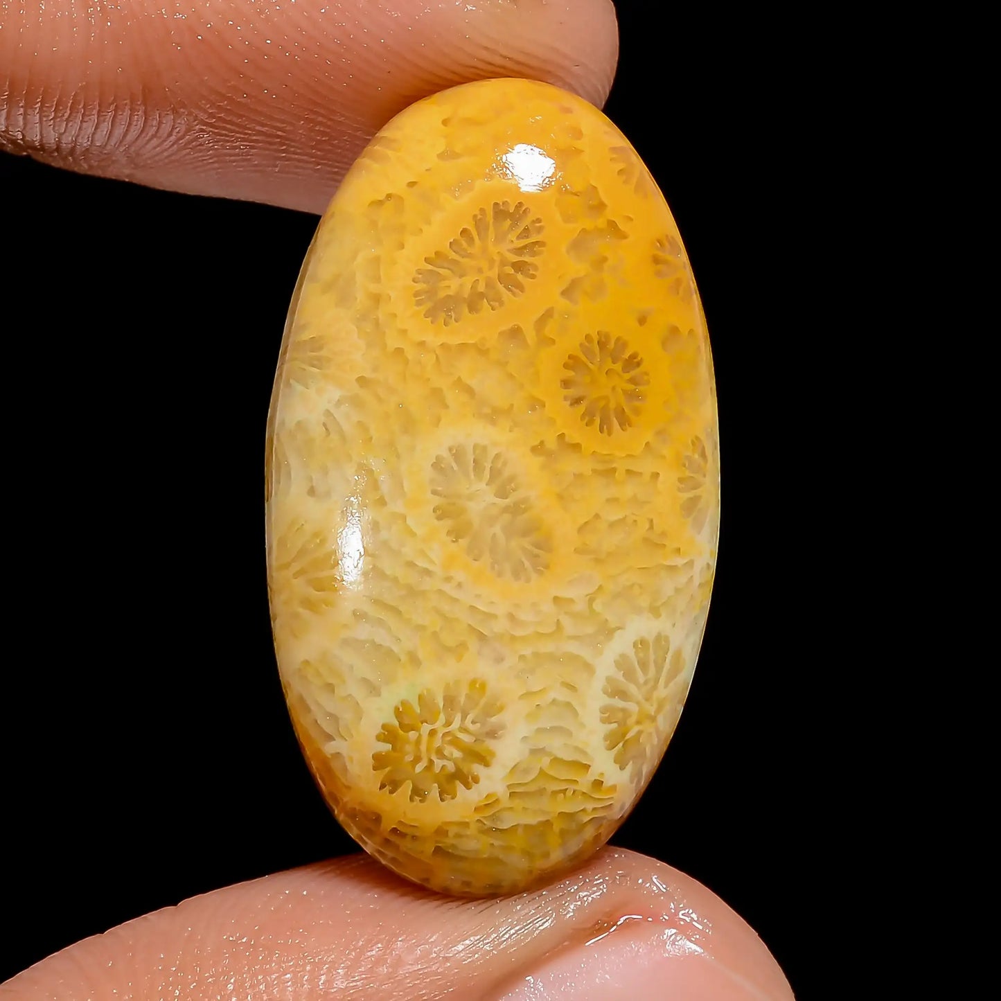 Fossil Coral Oval Shape Cabochon Loose Gemstone Natural 22 Ct. 29X16X5 mm V-6780