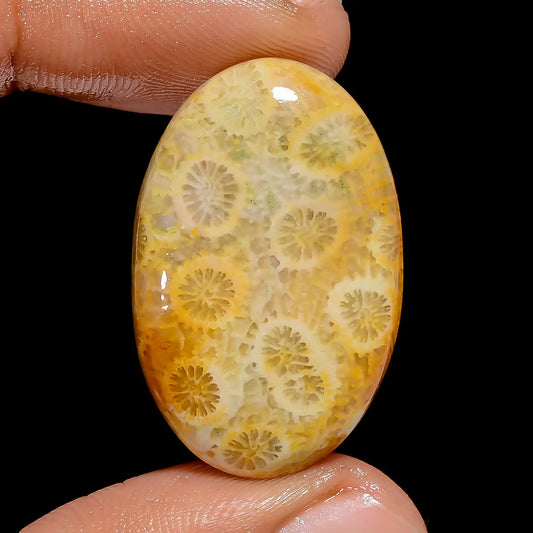 Fossil Coral Oval Shape Cabochon Loose Gemstone Natural 27 Ct. 30X19X5 mm V-6781