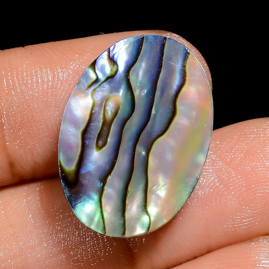 Abalone Shell Cabochon Oval Shape 16 Ct 22x15x5mm, 100% Natural for Jewelry Making V-6826