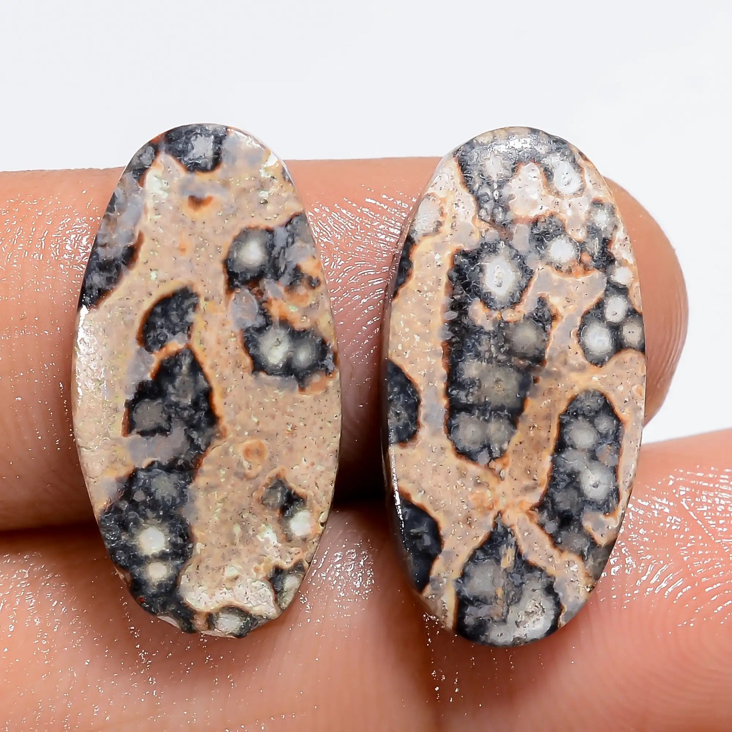 Viper Skin Oval Shape Cabochon Loose Gemstone Pair Natural 13 Ct. 20X10X3 mm V-7204