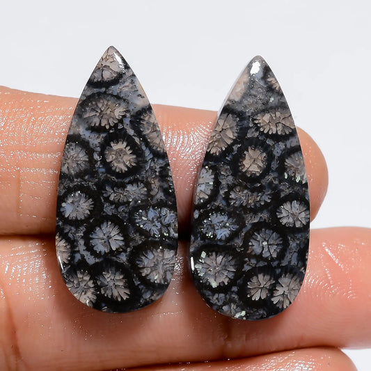 Black Fossil Coral Pear Shape Cabochon Loose Gemstone Pair Natural 26 Ct. 27X12X3 mm V-7218