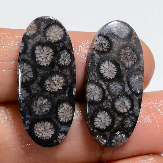 Black Fossil Coral Oval Shape Cabochon Loose Gemstone Pair Natural 24 Ct. 25X11X3 mm V-7219